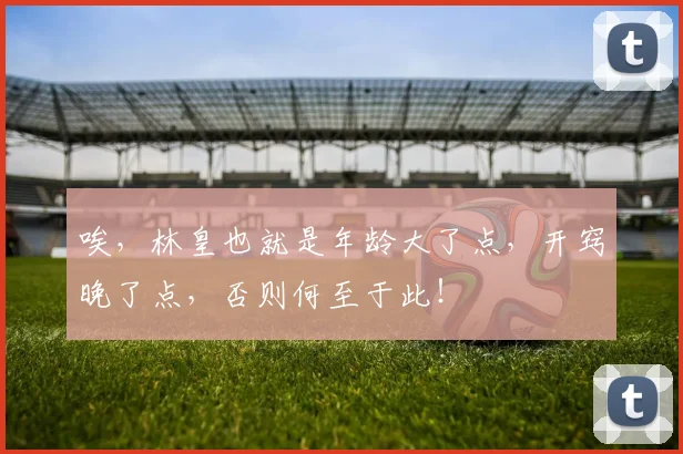 唉，林皇也就是年龄大了点，开窍晚了点，否则何至于此！