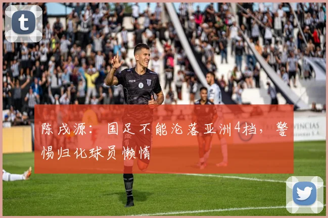 陈戌源：国足不能沦落亚洲4档，警惕归化球员懒惰