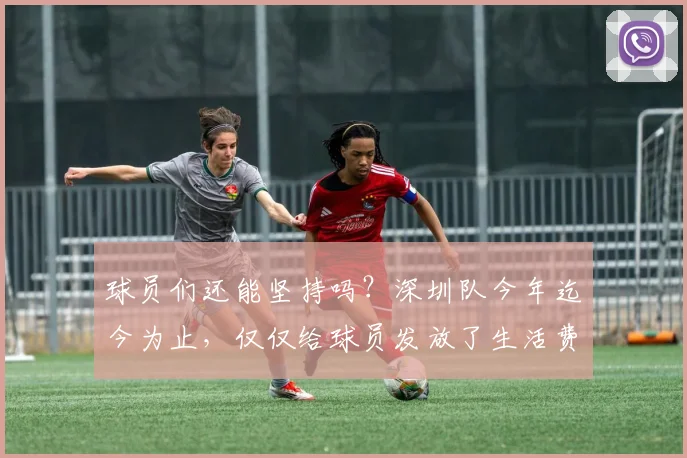 球员们还能坚持吗？深圳队今年迄今为止，仅仅给球员发放了生活费